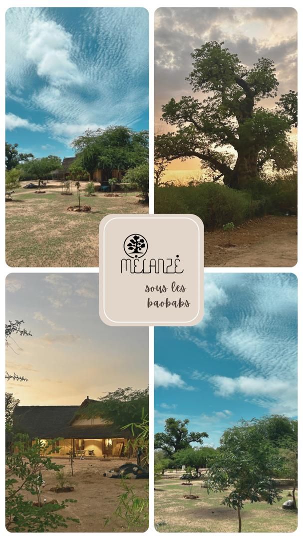 Life under the baobabs at Mélanzé